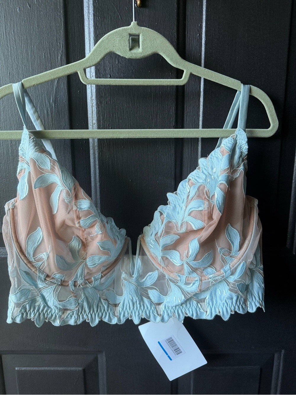 Fleur du Mal Pale Blue Embroidered Sheer Bralette with Nude Lining